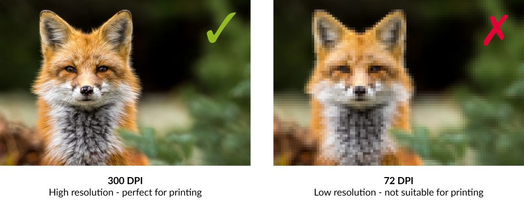 example pixellated image fox