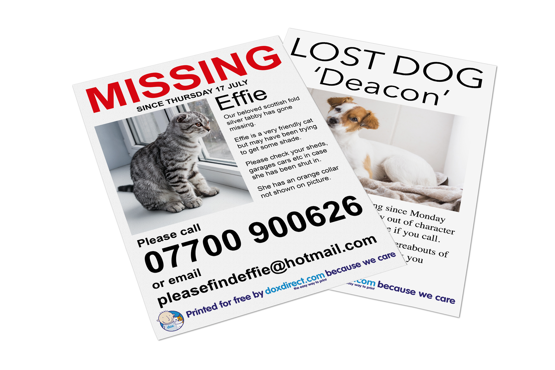 Free Missing Pet Posters Doxdirect