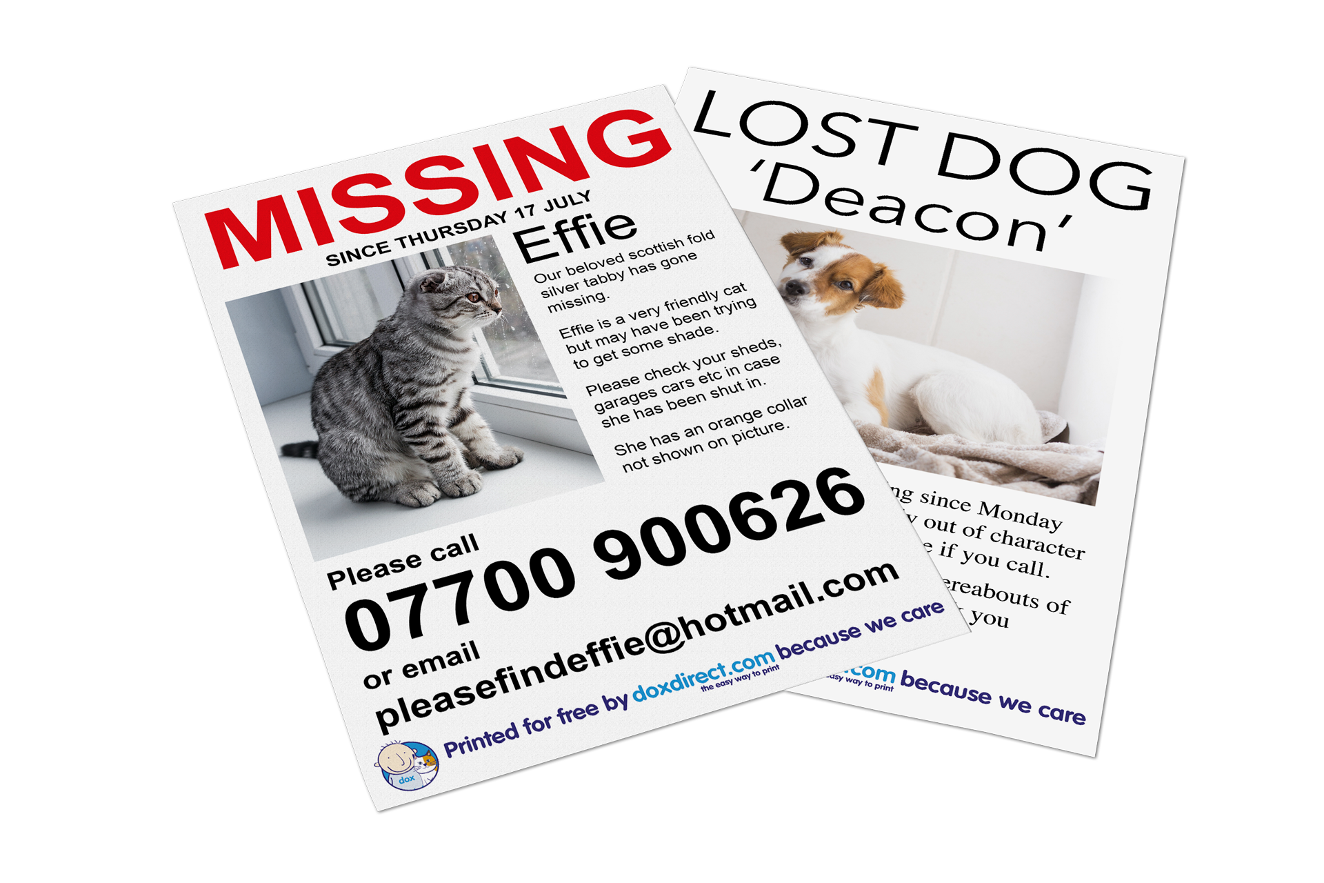 free-missing-pet-poster-template-download-in-png-jpg-template