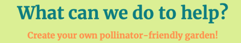 subtitle what can we do to help bees